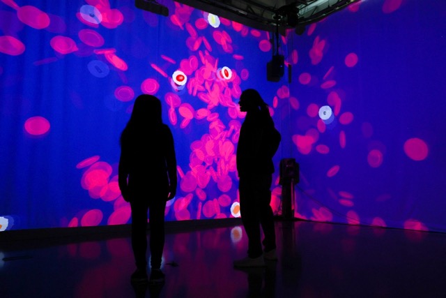 placeholder - card module