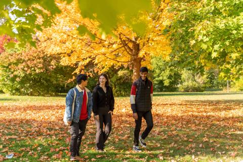 York university students walking during the fall season